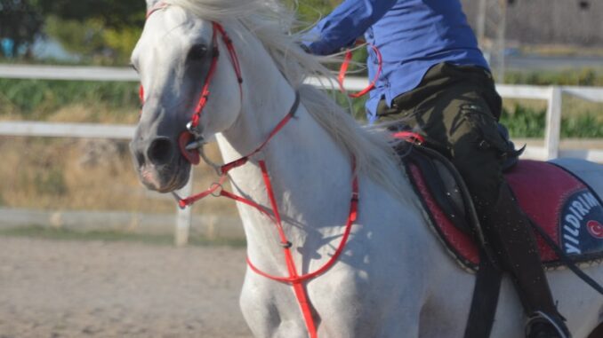 uploaded-image-spor-formalari-ve-takim-insa-etme-1697893104588