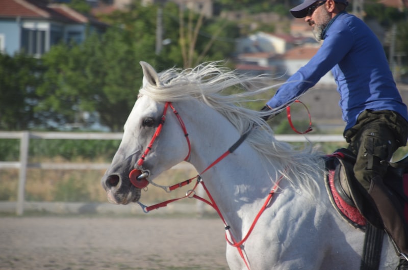 Spor Formaları ve Telif Hakları Spor Formaları ve Telif Hakları