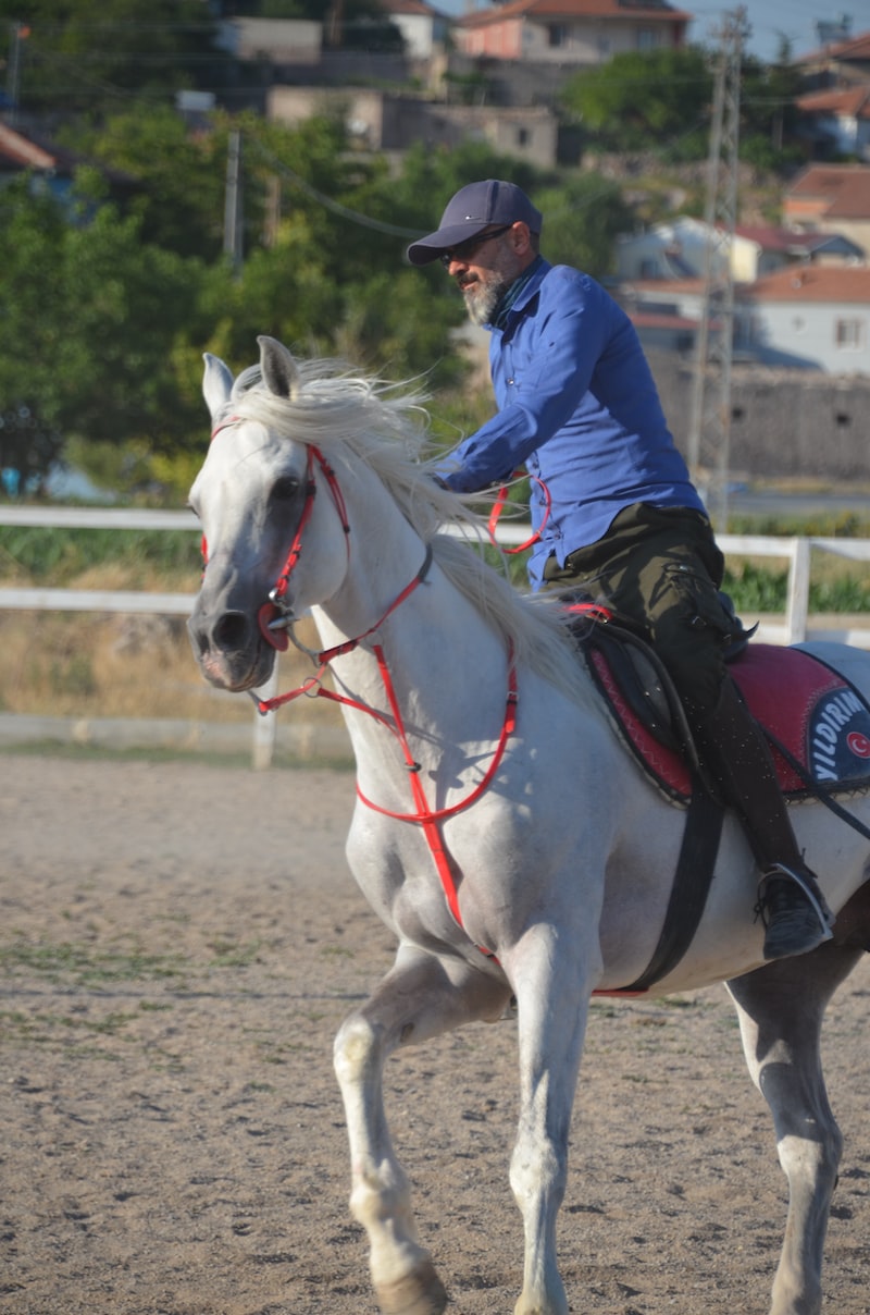 Spor Formalarının Yıllık Trendleri Spor Formalarının Yıllık Trendleri